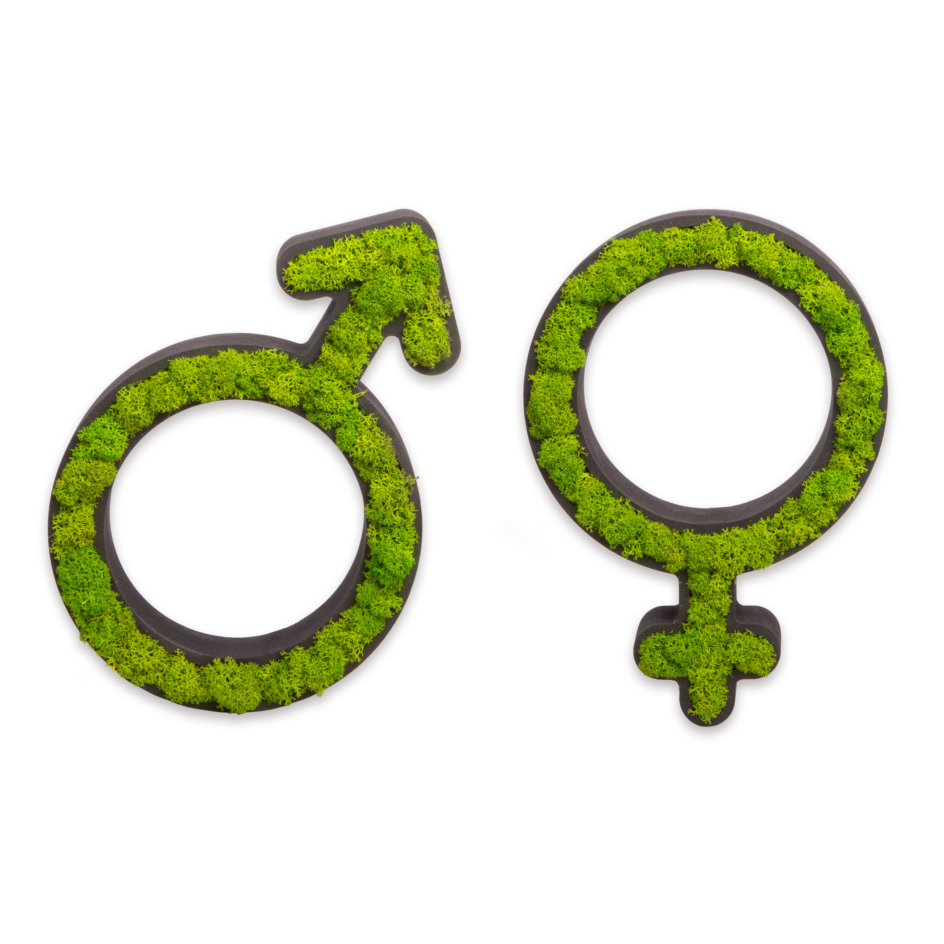Piktogramm "Gender" mit Islandmoos