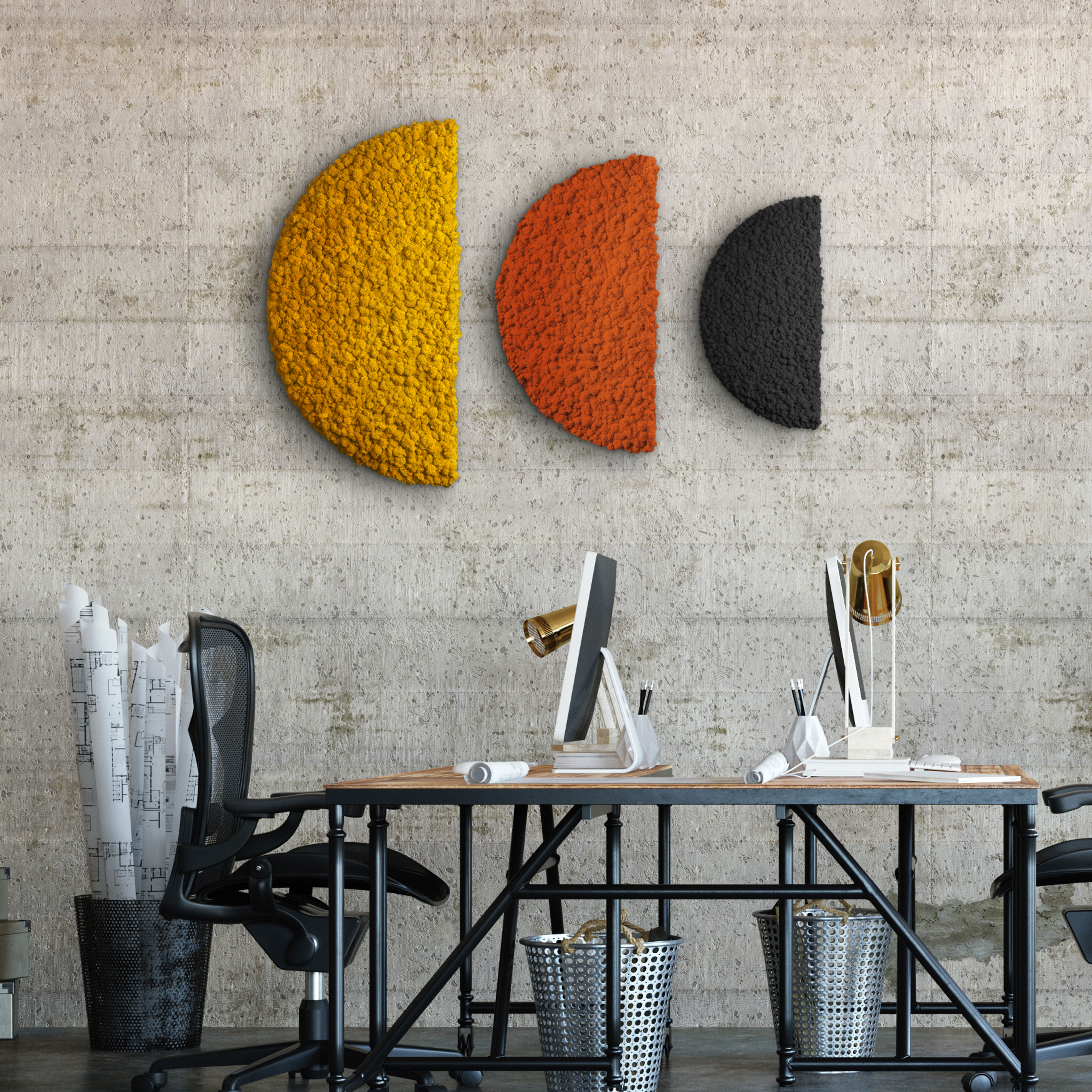 Moos "Half Moon" aus Islandmoos