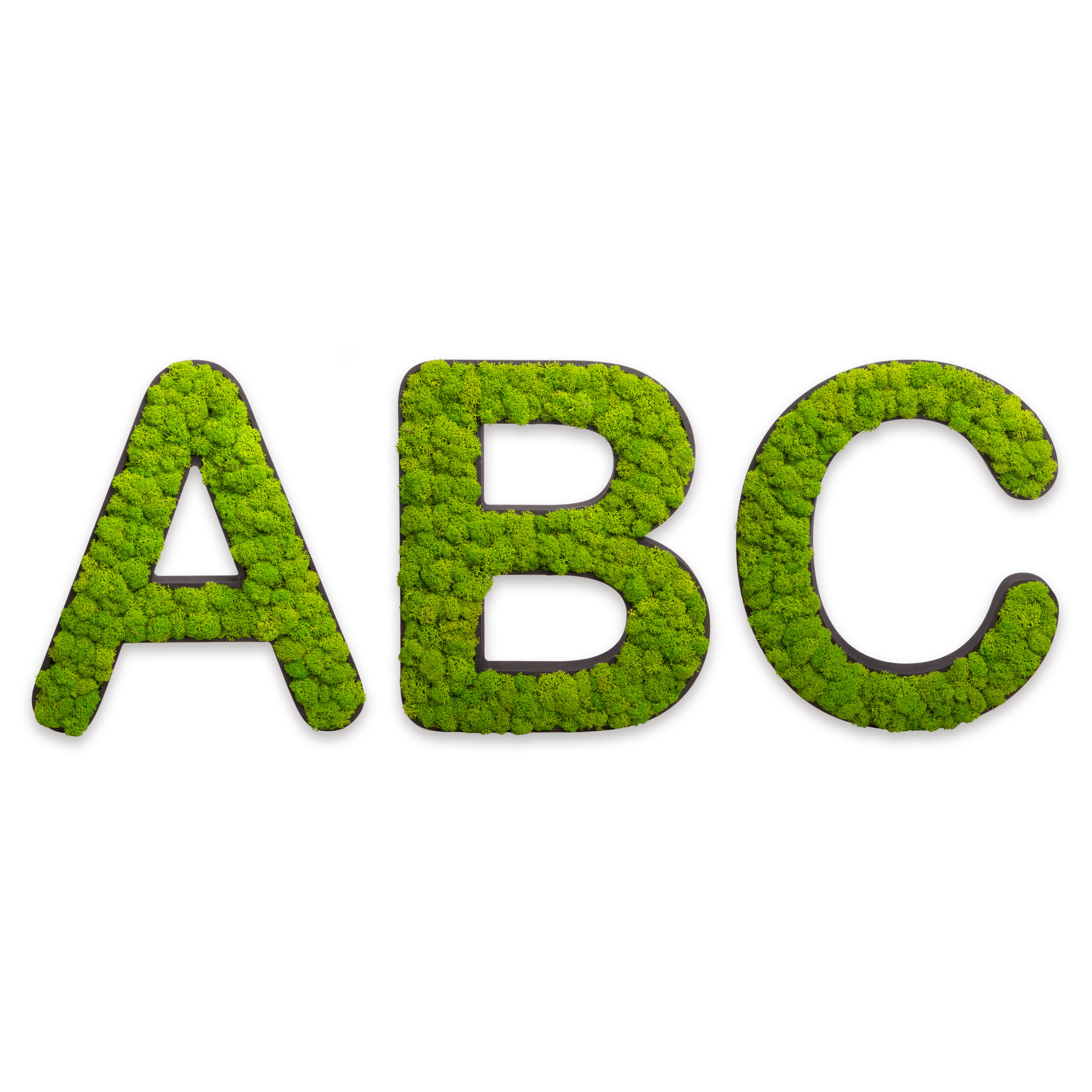 Buchstaben mit Islandmoos